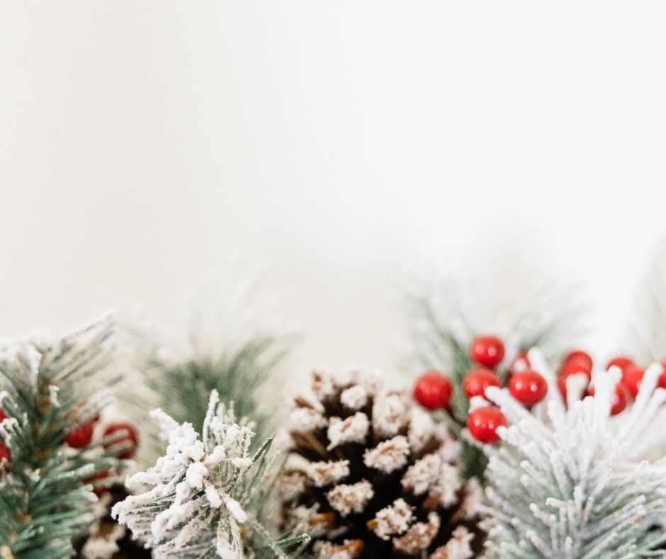 Festive season - picture of holly, pine, berries