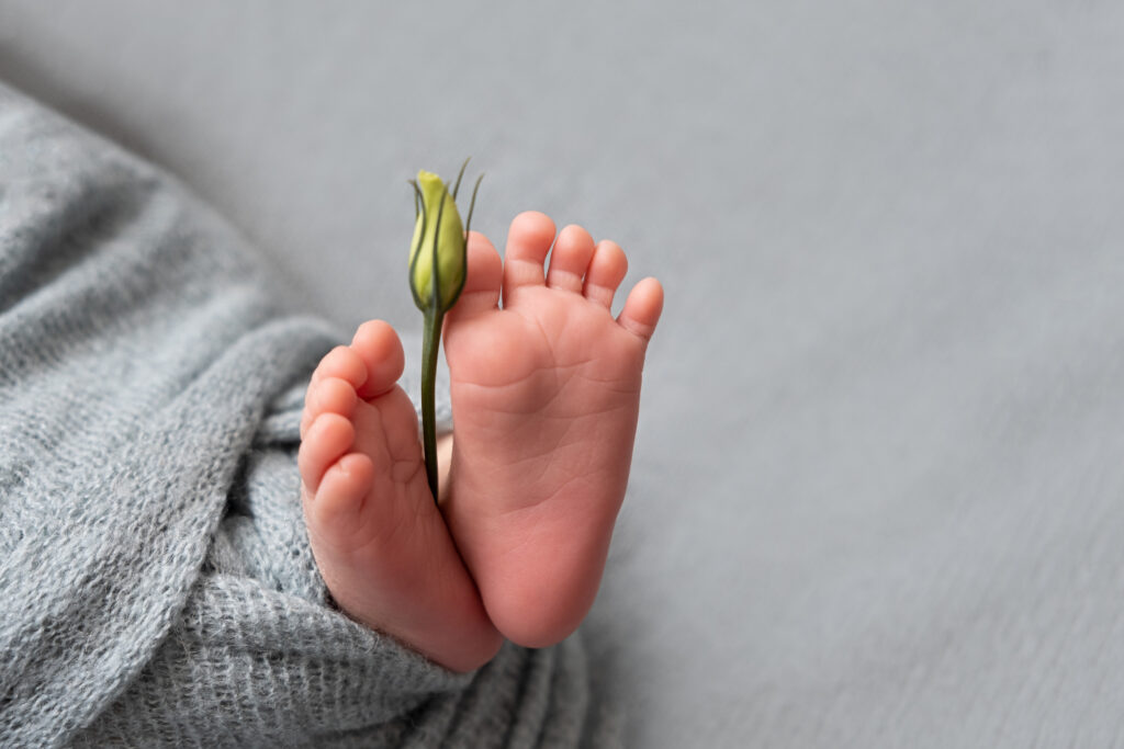 Baby Feet Holding Baby Flowers